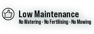 Synthetic Turf Low Maintenance no watering no mowing no fertilising