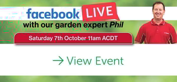 October-Garden-Newsletter-Live.jpg